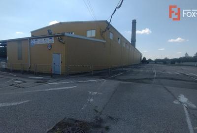 COMISION 0% Hala de productie si depozitare, corp administrativ si birouri COMISION 0% Hala de productie si depozitare, corp administrativ si birouri - 3