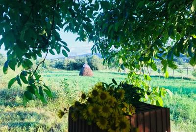 Casa de vacanta 60km de Timisoara - 2