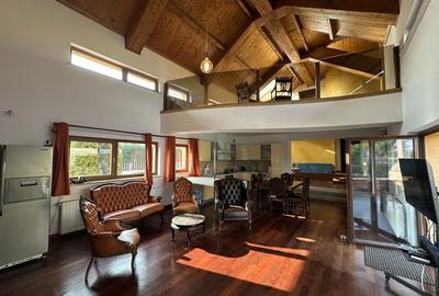 Proprietate cu piscina Dumbravita - 3