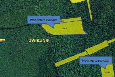 Teren extravilan padure, cota parte de 1/48 Horgesti, ID:... - 1