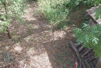 Casă cu 5 camere cu Teren 399 Mp în Sighetu Marmației - 3