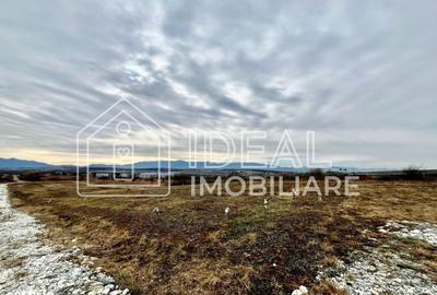 Spațiu comercial, în Mohu - 1