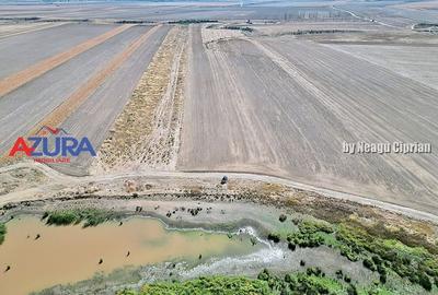 Teren agricol, 5HA, comasat, drum acces, Cateasca - 4