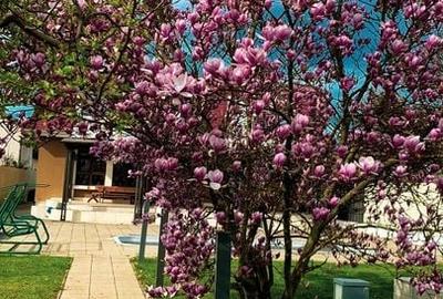 Unirii - Casa Zona Romcab - 600 mp - 1259 mp teren - Garaj dublu - piscina - 19