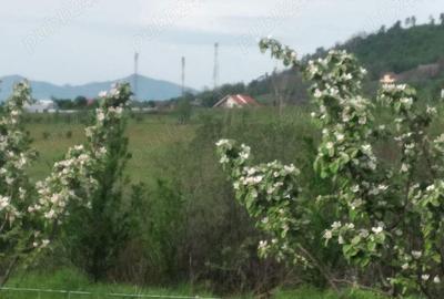 Teren de 2500 mp, în Central - 3