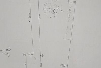 Casă cu 4 camere cu Teren 3060 Mp în Dragomirești - 2