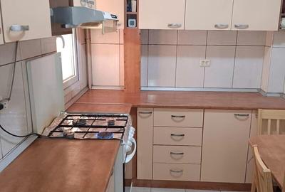 Apartament cu 2 camere semidecomandat în Costin Georgian - 20