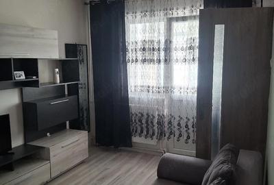 Garsonieră nedecomandată în Craiovița Nouă - 2