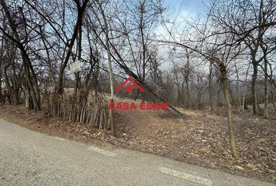 Teren intravilan in Cornu--3074m--90.000e - 8