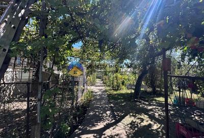 Casa + teren de vanzare - Zanesti - 7