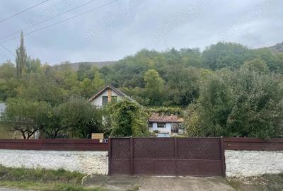 Casă cu 2 camere cu Teren 4000 Mp în Poiana Aiudului - 9