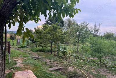 Casă cu 3 camere în Țela - 8