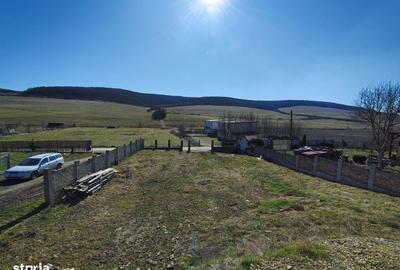 Casă cu 4 camere cu Teren 1000 Mp în Sud - 4