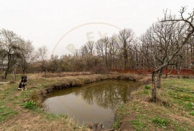 0% Comision !! CASA CU LAC SI PRIVELISTE SUPERBA SPRE PA - 4