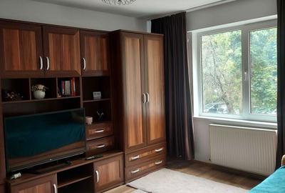 Apartament cu 2 camere decomandat în Dacia - 2