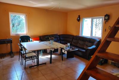 Casă cu 3 camere în Gura Râului - 5