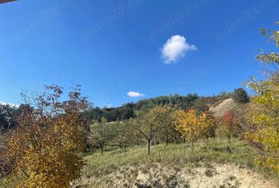 Casă cu 3 camere în Central - 6