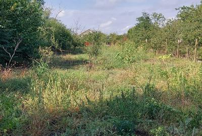 Casă cu 3 camere în Rălești - 5