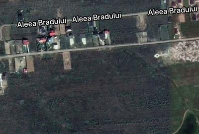 Teren de 14935 mp, în Trivale - 5