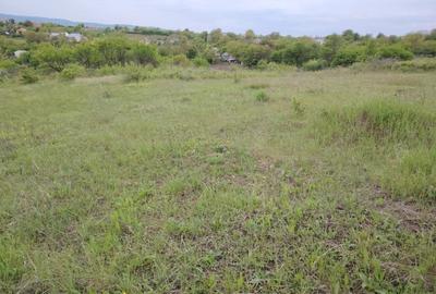 Teren intravilan de vânzare – Ciurbești, vedere la lac - 3