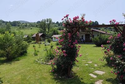 Casă cu 6 camere în Zaharești - 1