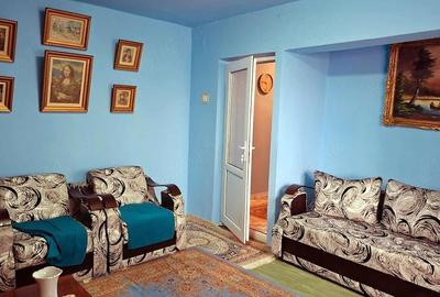 Apartament cu 2 camere decomandat în Vest - 9