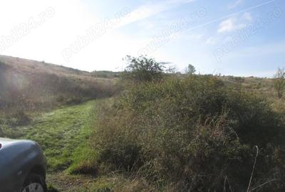 Teren de 15400 mp, în Zăvoi - 1