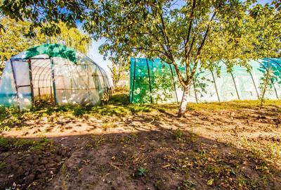 Casă individuală cu 7 camere cu Canalizare în Islaz - 5