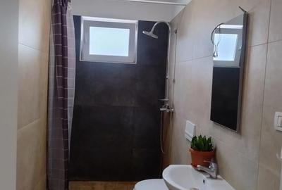 Casă cu 3 camere cu Teren 300 Mp în Bucovăț (Remetea Mare) - 5