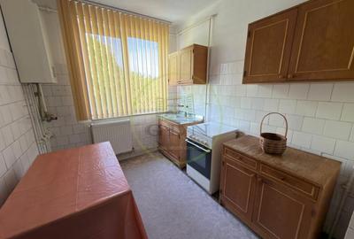 Apartament cu 2 camere semidecomandat, mobilat în George Enescu - 5