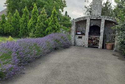 Vand casa in Timi?oara - 4