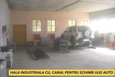 De vanzare Societate SRL cu immobile proprii in patrimoniu- Hale, Ateliere, Depozite, Ghimbav Brasov - 6