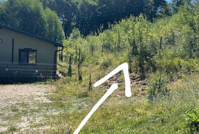 Spațiu comercial, în Casele Micești - 8