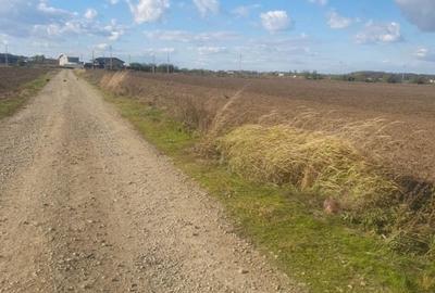 Teren intravilan 16.608 mp - 1 Decembrie, Ilfov | Deschidere 60 mp Teren intravilan 16.608 mp - 1 Decembrie, Ilfov | Deschidere 60 mp - 2