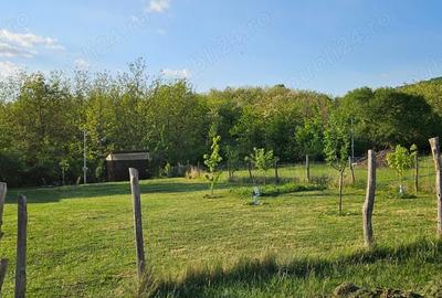 Teren de 400 mp, în Șiria - 1