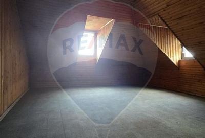 DE VANZARE Casa / Vila cu 11 camere de vanzare in zona Parcul Carol - 42