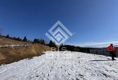 Teren de 2623 mp, în Colibița - 7