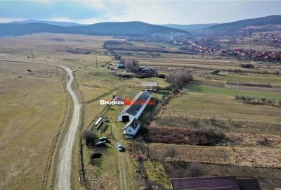 MICRO-FERMA CASA IN VOIVOZI - BIHOR - 1