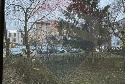 Apartament cu 1 camera de inchiriat in zona Brazda lui Novac - 9