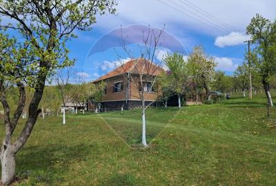 Casă individuală cu 4 camere cu Teren 11769 Mp în Munteni - 1