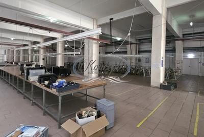 Spatiu industrial cu birouri pe Bulevardul Muncii - 10