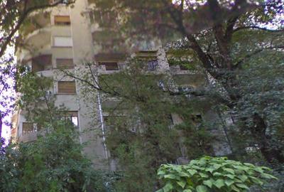 MT739 - For Sale – 1-Room Cismigiu Park - Disaster Project 24 sqr m - 3