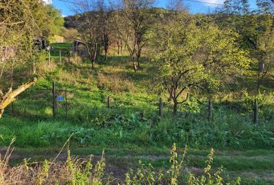 Spațiu comercial, în Deleni - 6