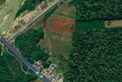 Teren 5900 mp - Km 36 - Petrom Teren 5900 mp - Km 36 - Petrom - 3