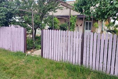 Vand casa in Barsanesti, judetul Botosani, teren 3868 mp Vand casa in Barsanesti, judetul Botosani, teren 3868 mp - 1