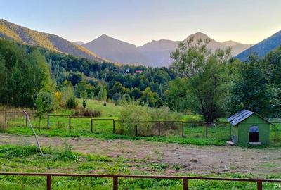 Casă cu 6 camere cu Teren 5600 Mp în Lepșa - 5