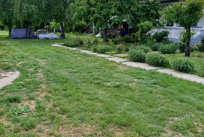 Casa Crevedia Mare Giurgiu Casa Crevedia Mare Giurgiu - 8