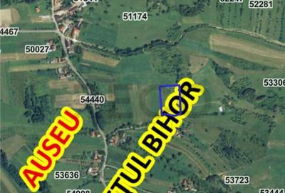 RECO teren de in Comuna Auseu - 2