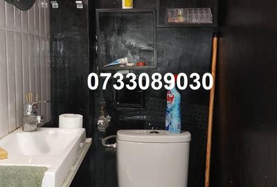 Drumul Taberei -Valea Ialomitei - 10