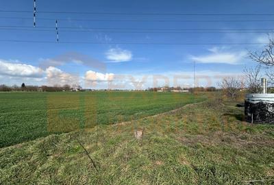 Teren Construcții extravilan de 18000 mp, în Valu lui Traian - 10